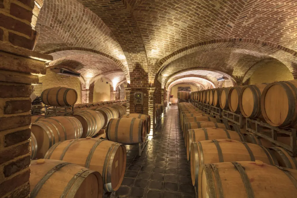 Incontro con i Vignaioli del Roero: Passione e Competenza