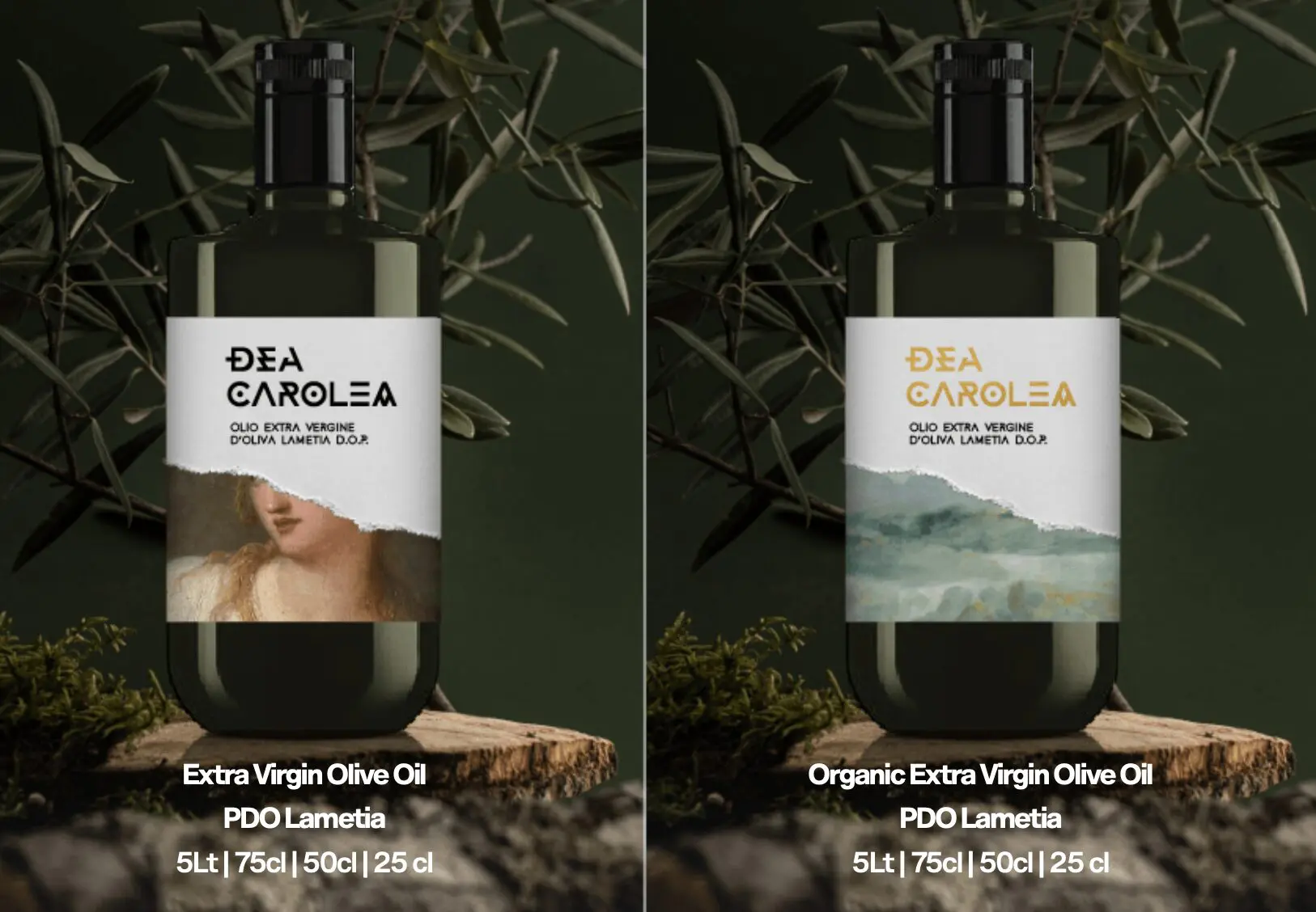 Capture d’écran 2026-02-23 à 16.53.07