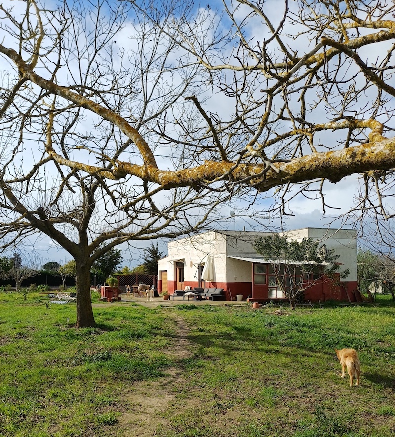 Het nieuwe huis van Caroline en haar Italiaanse man Roberto in Cutrofiano, provincie Lecce, Apulië (