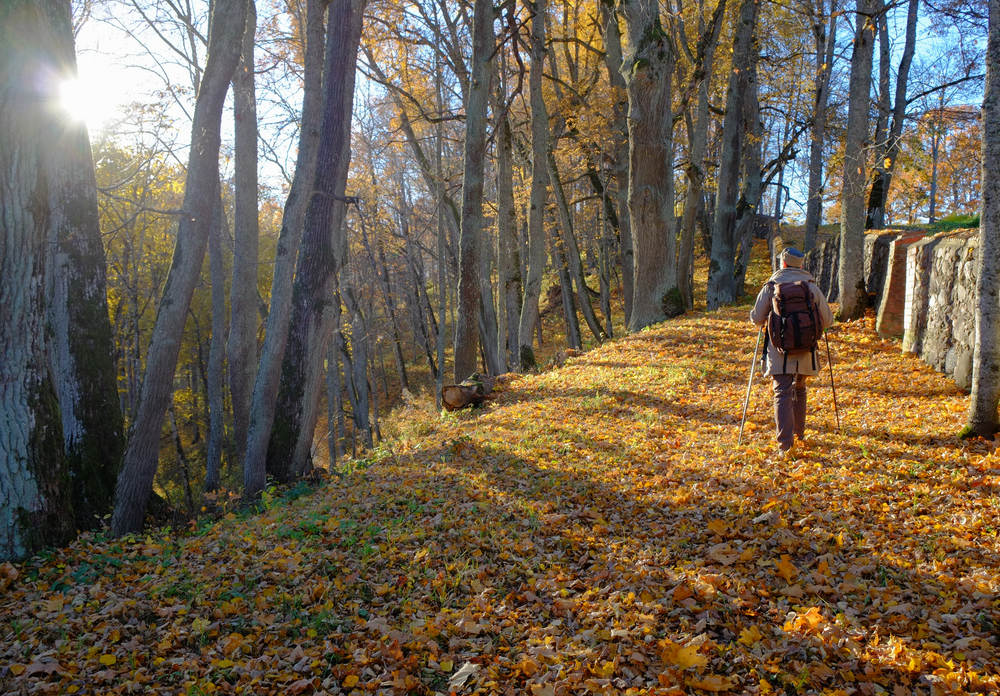 Nordic-Walking-Monte-Livata